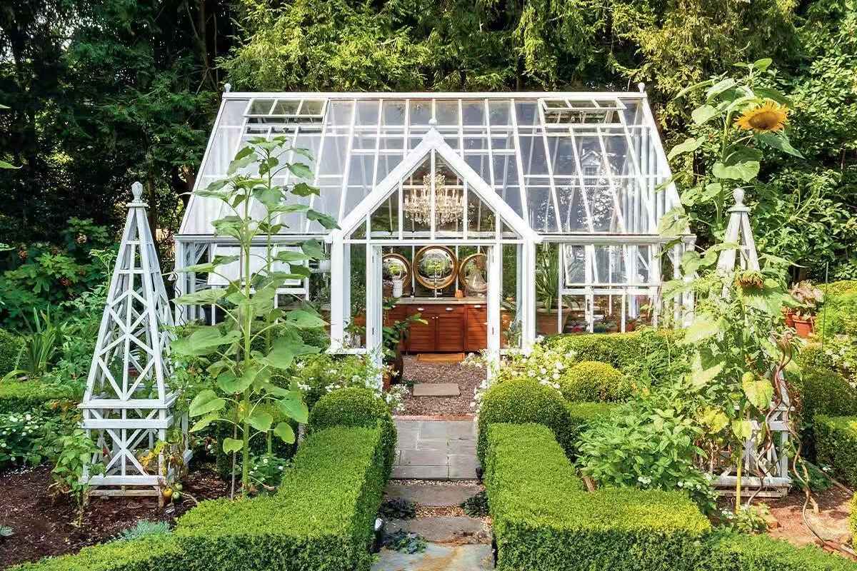 Garden Glass Greenhouse Ysgh 196
